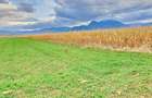 Teren agricol extravilan de 8400 mp, în Tărlungeni - 4