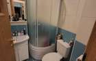 Apartament cu 4 camere decomandat în Rahova - 17