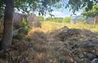 Casa oras Vanju Mare - 11