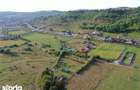 Teren Intravilan , Livezeni , 800mp , Zona Linistita - 3