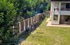 Casa de vanzare in Sacele, zona linistita - 1