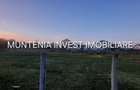 Teren 6000 mp. intravilan Smeura, str. Olteni - 5