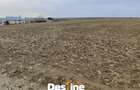 Teren Construcții intravilan de 8100 mp, în Dumești - 3