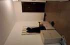 P.F inchiriez apartament 2 camere langa Iulius Mall. - 4