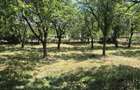 Vand teren intravilan, 2295 MP in comuna Bogati judetul Arges - 7