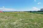 Teren Construcții extravilan de 25000 mp, în Sud-Est - 2