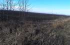 Teren de 5000 mp, în Cotorca - 3