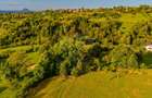 Teren Construcții intravilan de 3000 mp, în Bran - 18