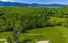 COMISION 0%| Teren intravilan Bran - 7