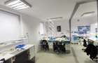Casă individuală cu 9 camere cu Teren 400 Mp în Iosefin - 2