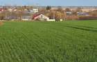 Vand loturi de 527 si 635 mp langa Delta Neajlovului la cel mai bun pre? - 8