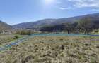 Teren de vanzare Baile Herculane 2877 m2 - 1