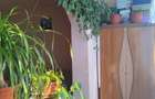 Apartament 2 camere, zona Nord, Cibinului (IDT516) - 15