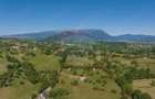 Teren intravilan de 11000 mp, în Bran - 2