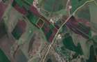 De vanzare ferma comuna Pestera, judetul Constanta - 4