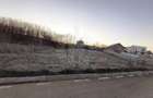 TEREN INTRAVILAN//COM. PLOPU//1300//2700 MP - 5