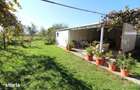 Vand casa P+E+Pod in Ha?eg, teren 700 mp, garaj, filigorie... - 8