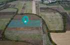 Teren agricol de 34.500mp in Albina, Jude?ul Timi? - 6