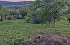 Teren Tomesti-Chicerea Urgent - 4