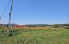 Teren Construcții intravilan de 3093 mp, în Oituz - 2