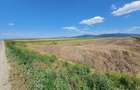 Teren agricol de 6900 mp, în Tărlungeni - 3