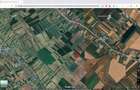 Teren extravilan agricol 10.000 mp Tartasesti - 3