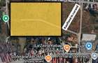 58. 000 MP Intravilan Domnesti | PUZ | Vis-a-vis Lidl Investitie Premium - 6
