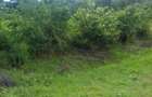 Vand teren intravilan 2473 mp