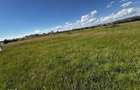 Teren agricol de vanzare, 400 mp, zona lini?tita - 4