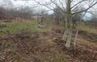 Teren de 1500 mp, în Goranu - 2
