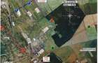 Vand teren construibil 1000 mp langa padure Buftea - 4
