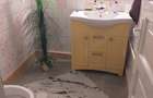 Vanzare casa cu etaj plus dependin?e Schimb cu casa in cartier Westfield Arad ori San Paul Arad - 8