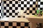 Apartament cu 3 camere decomandat în Banu Manta - 6