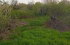 Teren intravilan mixt Buftea Corbeanca MEGAOCAZIE | 2... - 6