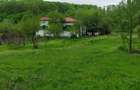 Casa + 9800 mp teren, Cotmeana -Arges, zona verde, potential turistic - 2