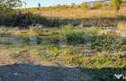 Teren 5000m2 Targoviste - ZONA INDUSTRIALA C.O.S. TGV - 6