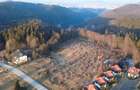 Teren 28.000mp Poiana MIca intre Monterai si Grand Chalet - 1