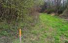 Teren intravilan de 1683 mp, în Lunca Calnicului - 4