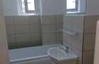 Apartament cu 2 camere decomandat în Nicolina - 6
