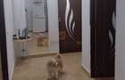 Apartament cu 2 camere decomandat în Sălaj - 5