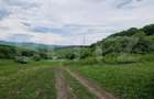 Teren extravilan de vanzare Vlaha 14.500 mp, zona superba - 1