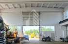 Spațiu industrial, de 580 mp, în Freidorf - 1