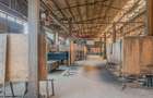Spațiu comercial, de 1,650 mp, în Turcheș - 6