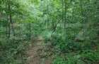 Teren intravilan, 5857 mp, Baltati, Horodnicu de Sus - 7