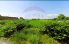 Teren intravilan 5,018mp Variasu Mare - 15 km de Arad/ st... - 7