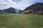 Teren de vanzare in Bucovina Fundu Moldovei - 5