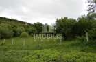 Teren intravilan | Budiu Mic | 994 mp - 5