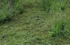 Vanzare teren Bascov Arges - 1