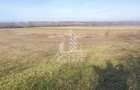 TEREN AGRICOL 1,524 HA, LA DOAR 10.000 Comision Zero % - 3