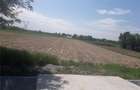 Teren de vanzare (5013 mp)
